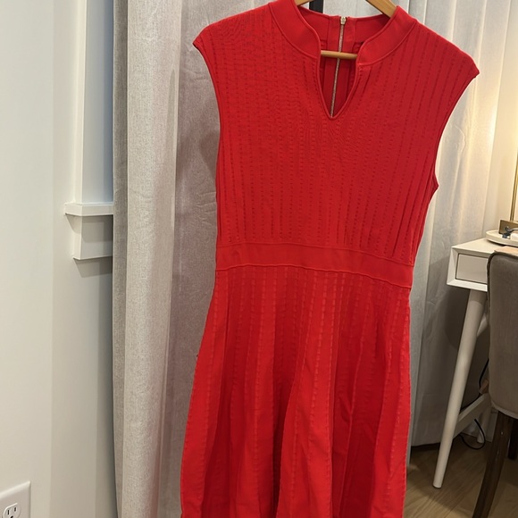 Ted Baker Dress - Picture 4 of 5